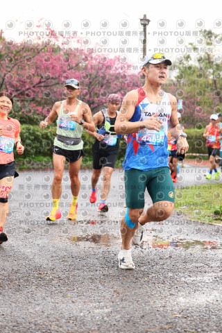 2026左岸竹東櫻花馬拉松Zhudong Sakura Marathon