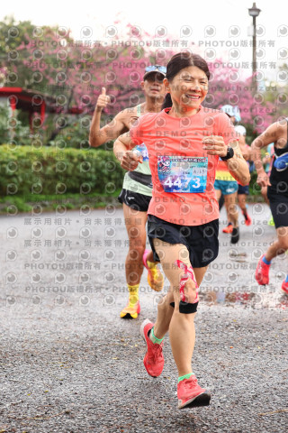 2026左岸竹東櫻花馬拉松Zhudong Sakura Marathon