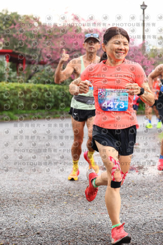 2026左岸竹東櫻花馬拉松Zhudong Sakura Marathon
