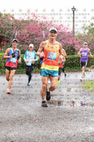 2026左岸竹東櫻花馬拉松Zhudong Sakura Marathon