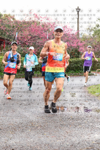 2026左岸竹東櫻花馬拉松Zhudong Sakura Marathon