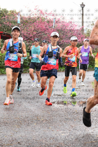 2026左岸竹東櫻花馬拉松Zhudong Sakura Marathon