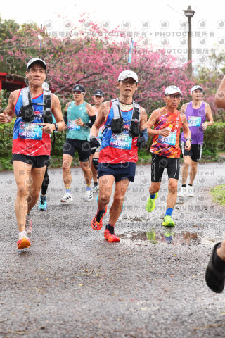 2026左岸竹東櫻花馬拉松Zhudong Sakura Marathon