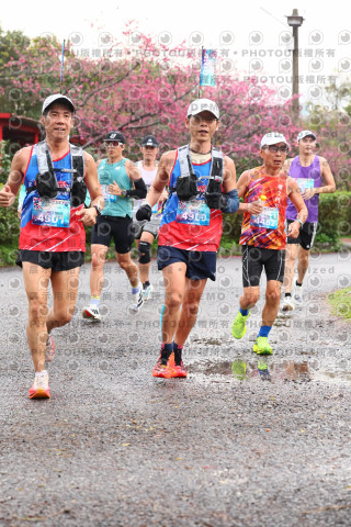 2026左岸竹東櫻花馬拉松Zhudong Sakura Marathon