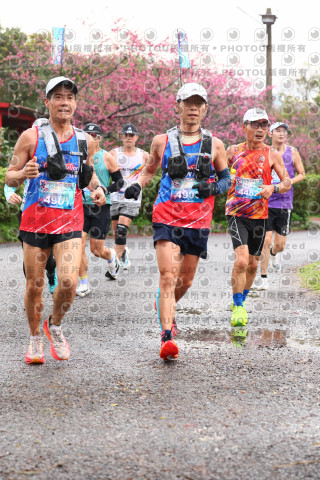 2026左岸竹東櫻花馬拉松Zhudong Sakura Marathon