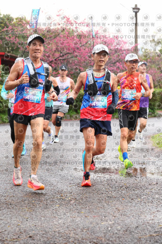 2026左岸竹東櫻花馬拉松Zhudong Sakura Marathon