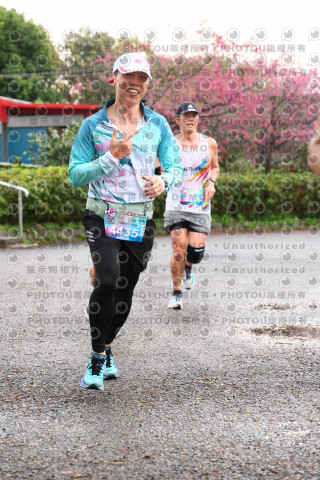 2026左岸竹東櫻花馬拉松Zhudong Sakura Marathon