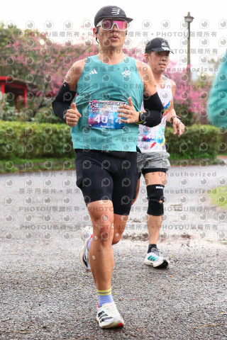 2026左岸竹東櫻花馬拉松Zhudong Sakura Marathon