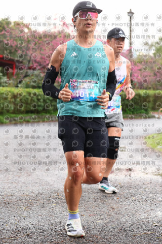 2026左岸竹東櫻花馬拉松Zhudong Sakura Marathon