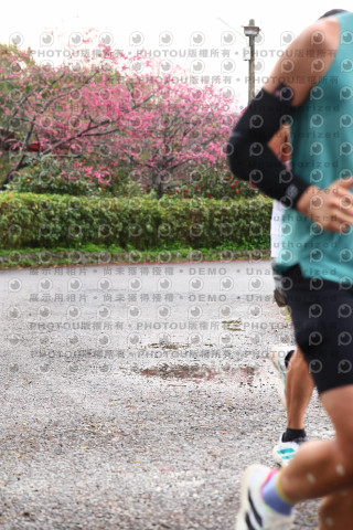 2026左岸竹東櫻花馬拉松Zhudong Sakura Marathon