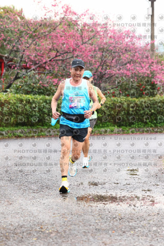 2026左岸竹東櫻花馬拉松Zhudong Sakura Marathon