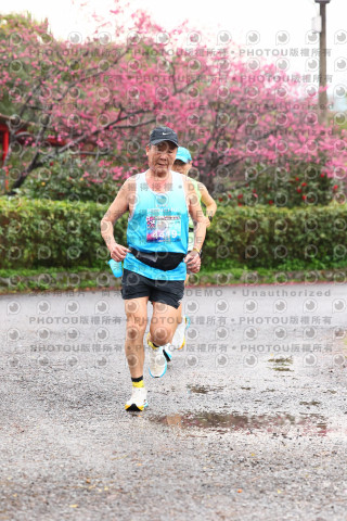2026左岸竹東櫻花馬拉松Zhudong Sakura Marathon