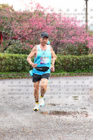 2026左岸竹東櫻花馬拉松Zhudong Sakura Marathon
