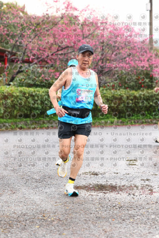 2026左岸竹東櫻花馬拉松Zhudong Sakura Marathon