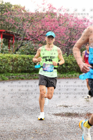 2026左岸竹東櫻花馬拉松Zhudong Sakura Marathon
