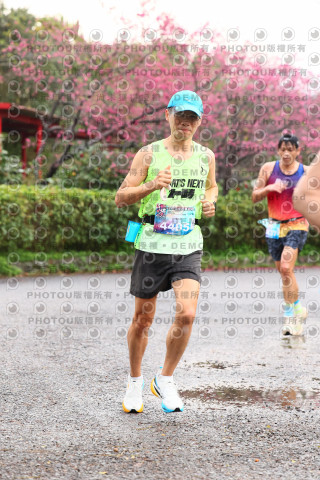 2026左岸竹東櫻花馬拉松Zhudong Sakura Marathon