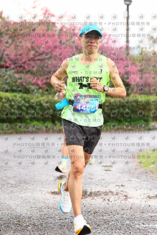 2026左岸竹東櫻花馬拉松Zhudong Sakura Marathon
