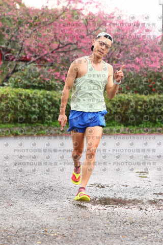 2026左岸竹東櫻花馬拉松Zhudong Sakura Marathon