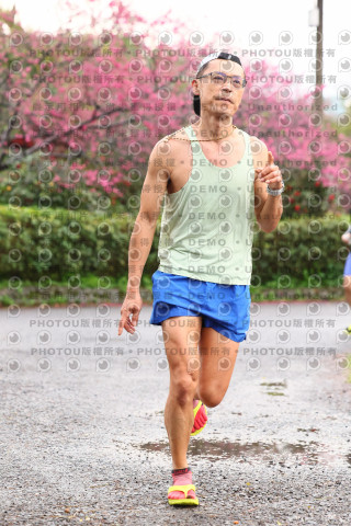 2026左岸竹東櫻花馬拉松Zhudong Sakura Marathon