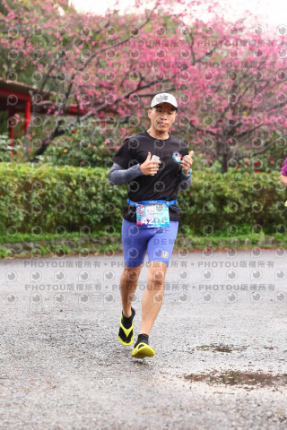 2026左岸竹東櫻花馬拉松Zhudong Sakura Marathon