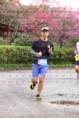 2026左岸竹東櫻花馬拉松Zhudong Sakura Marathon