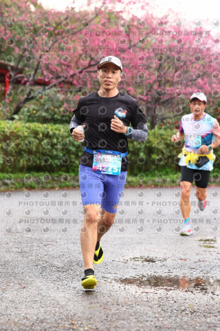 2026左岸竹東櫻花馬拉松Zhudong Sakura Marathon