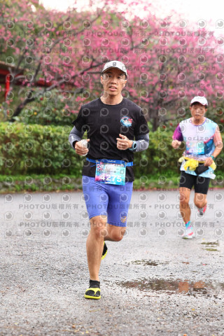 2026左岸竹東櫻花馬拉松Zhudong Sakura Marathon
