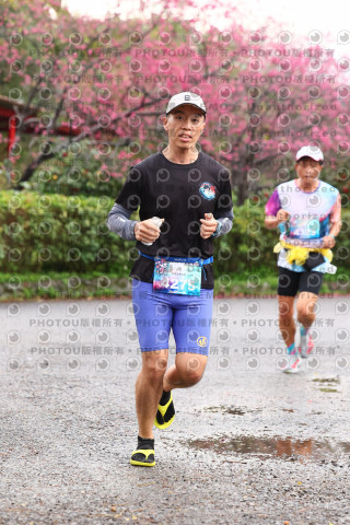 2026左岸竹東櫻花馬拉松Zhudong Sakura Marathon