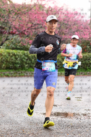 2026左岸竹東櫻花馬拉松Zhudong Sakura Marathon