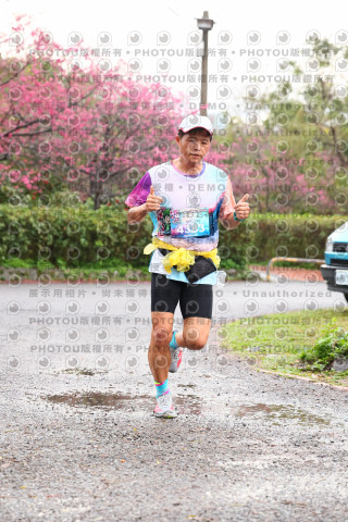 2026左岸竹東櫻花馬拉松Zhudong Sakura Marathon