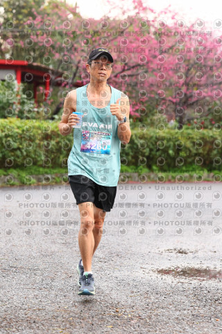 2026左岸竹東櫻花馬拉松Zhudong Sakura Marathon