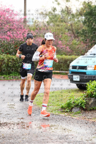 2026左岸竹東櫻花馬拉松Zhudong Sakura Marathon