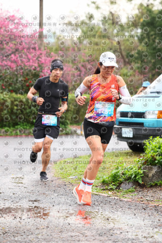2026左岸竹東櫻花馬拉松Zhudong Sakura Marathon