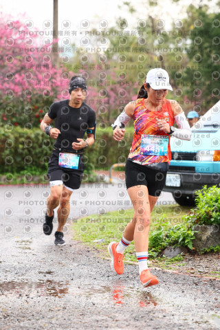 2026左岸竹東櫻花馬拉松Zhudong Sakura Marathon