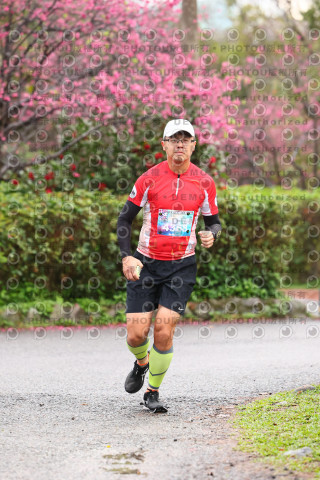 2026左岸竹東櫻花馬拉松Zhudong Sakura Marathon