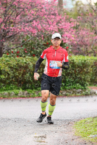 2026左岸竹東櫻花馬拉松Zhudong Sakura Marathon