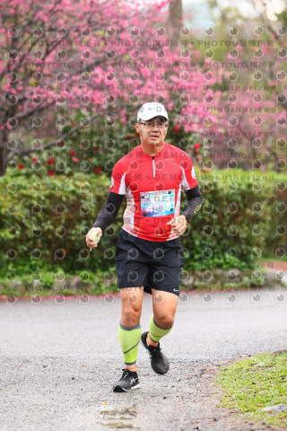 2026左岸竹東櫻花馬拉松Zhudong Sakura Marathon