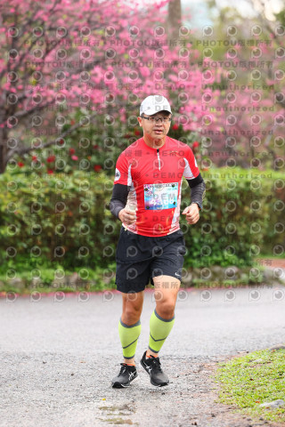 2026左岸竹東櫻花馬拉松Zhudong Sakura Marathon