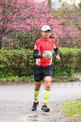 2026左岸竹東櫻花馬拉松Zhudong Sakura Marathon