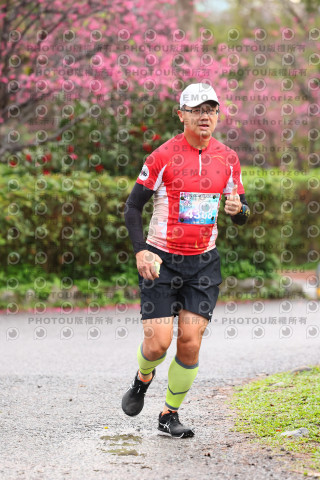 2026左岸竹東櫻花馬拉松Zhudong Sakura Marathon