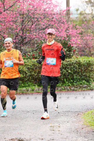 2026左岸竹東櫻花馬拉松Zhudong Sakura Marathon