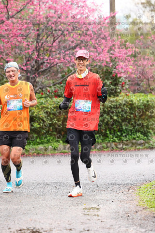 2026左岸竹東櫻花馬拉松Zhudong Sakura Marathon