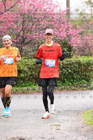 2026左岸竹東櫻花馬拉松Zhudong Sakura Marathon