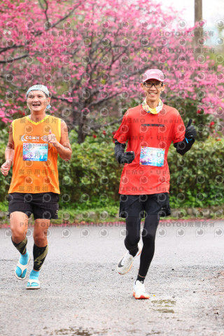 2026左岸竹東櫻花馬拉松Zhudong Sakura Marathon