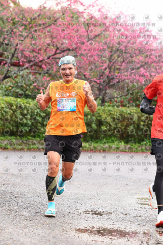 2026左岸竹東櫻花馬拉松Zhudong Sakura Marathon