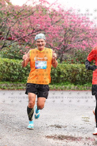 2026左岸竹東櫻花馬拉松Zhudong Sakura Marathon