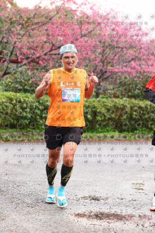 2026左岸竹東櫻花馬拉松Zhudong Sakura Marathon