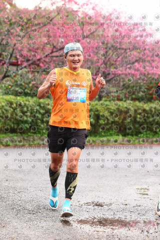 2026左岸竹東櫻花馬拉松Zhudong Sakura Marathon