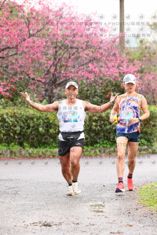 2026左岸竹東櫻花馬拉松Zhudong Sakura Marathon