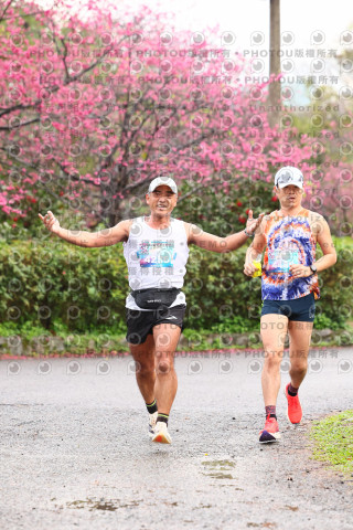 2026左岸竹東櫻花馬拉松Zhudong Sakura Marathon